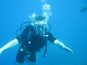 2011_Diving_the_Great_Barrier_Reef (181)